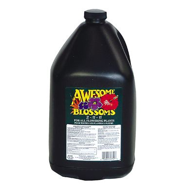 Awesome Blossoms Gallon  