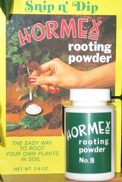 Hormex Rooting Powder  #8, 3/4 oz