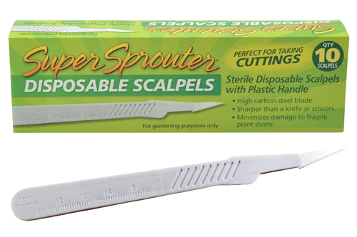 Cutting Scalpel