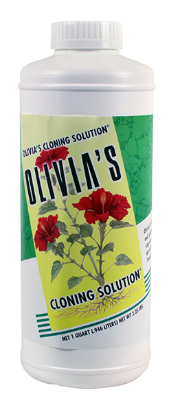 Olivia's Rooting Solution Qt