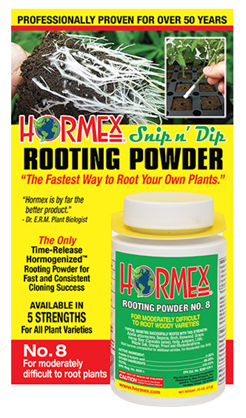 Hormex #8 Powder