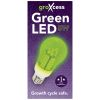 Replacement LED 5W Green Bulb