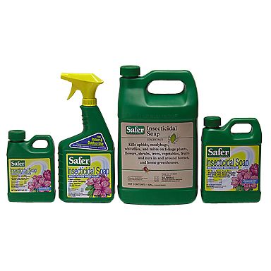 Safer's Insecticidal Soap RTU 